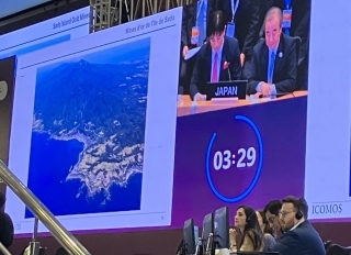 Session WHC 2024