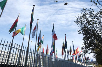 Les drapeaux des 58 pays membres du Conseil exécutif sont déployés pendant la Session