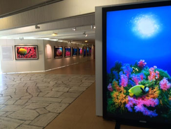 『伊東昭義展 奇跡の海』展示作品（会場：パ・ペルデュホール）
