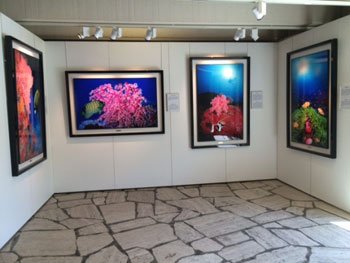 『伊東昭義展 奇跡の海』展示作品（会場：パ・ペルデュホール）