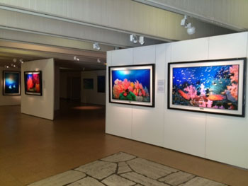『伊東昭義展 奇跡の海』展示作品（会場：パ・ペルデュホール）