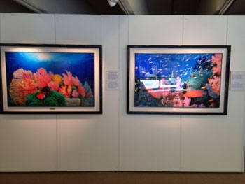 『伊東昭義展 奇跡の海』展示作品（会場：パ・ペルデュホール）