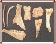 Archaeological remains in Kharakhorum City 