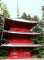 Nikko