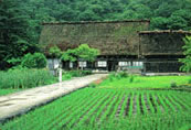 Gassho-style house