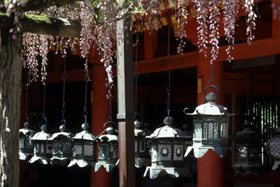 Kasuga Taisha
