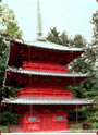 Nikko