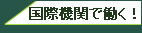 国際機関で働く